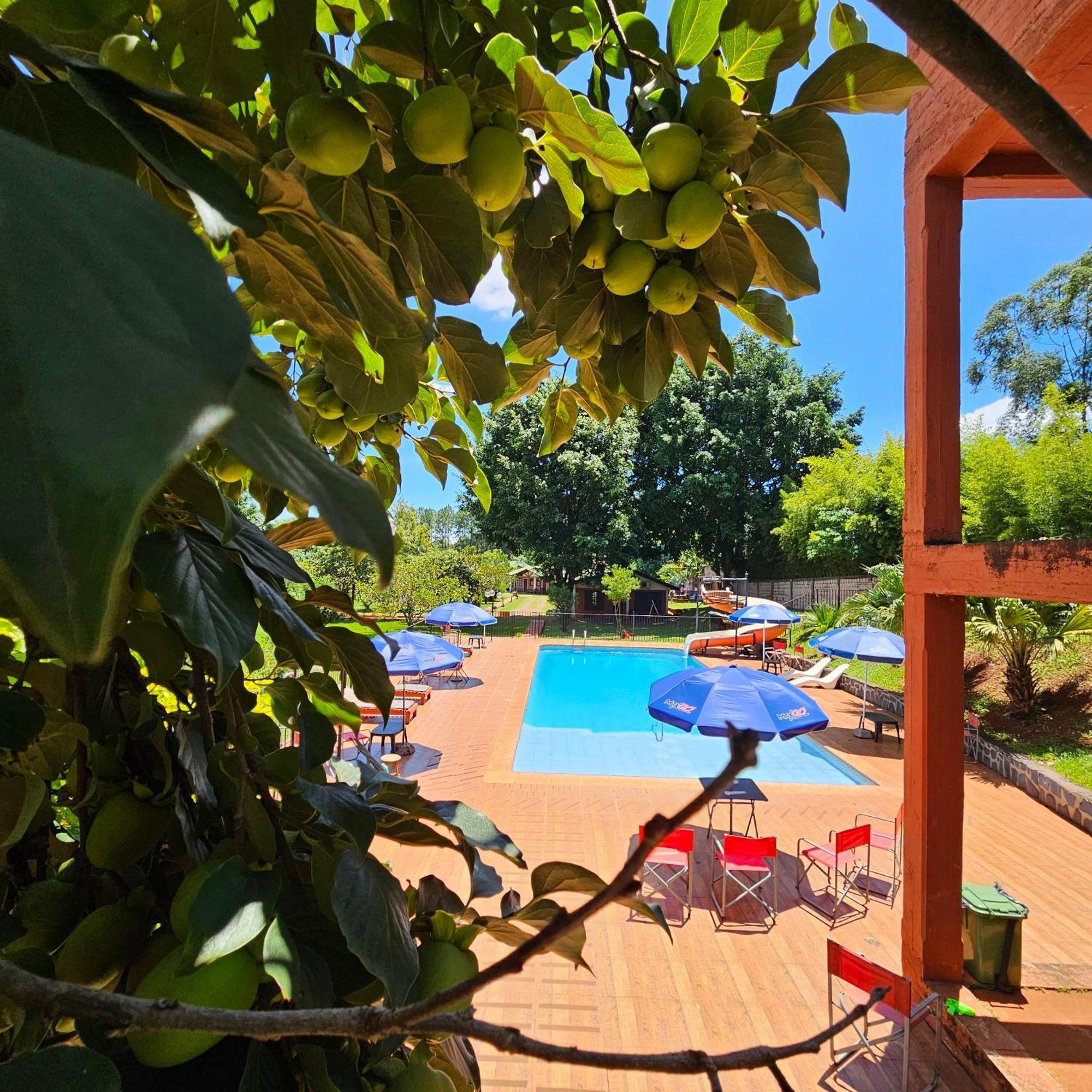 Cabanas El Refugio Del Mensu プエルト・イグアス エクステリア 写真