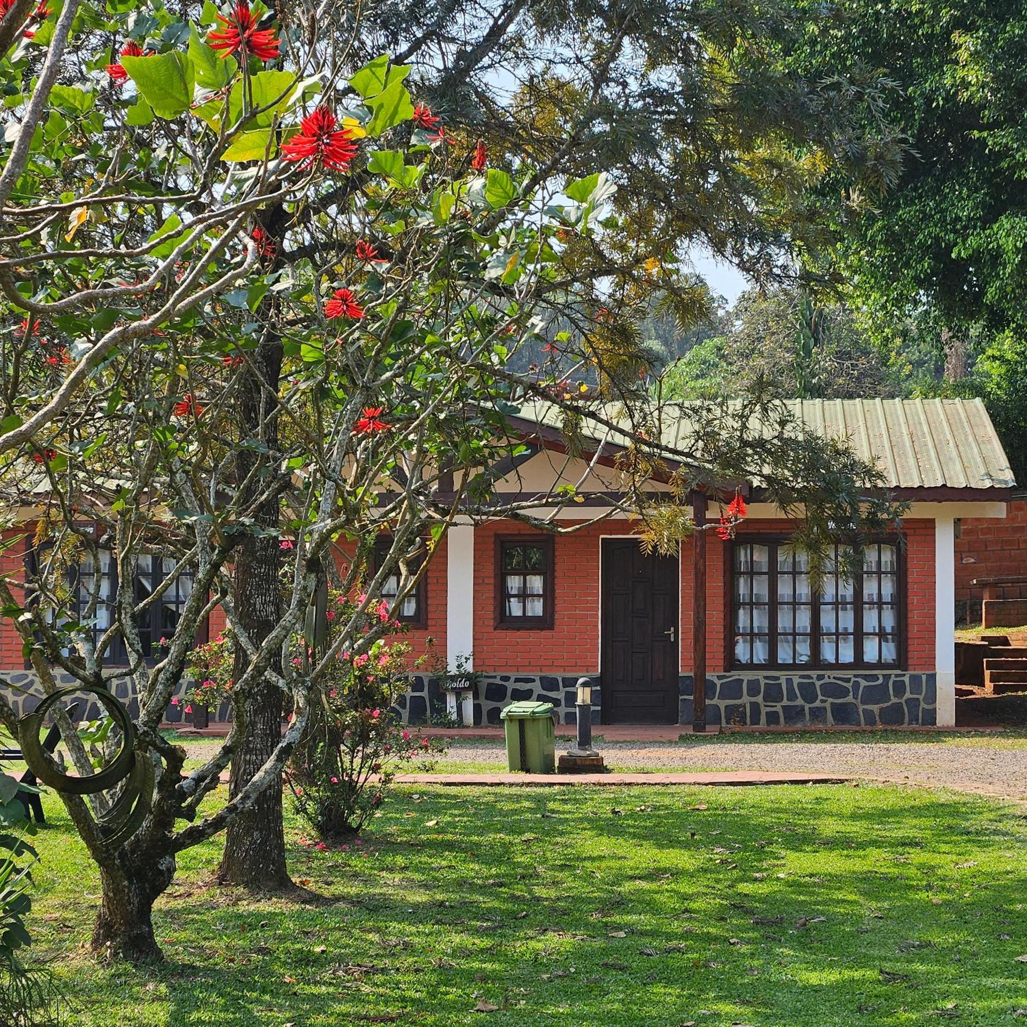 Cabanas El Refugio Del Mensu プエルト・イグアス エクステリア 写真